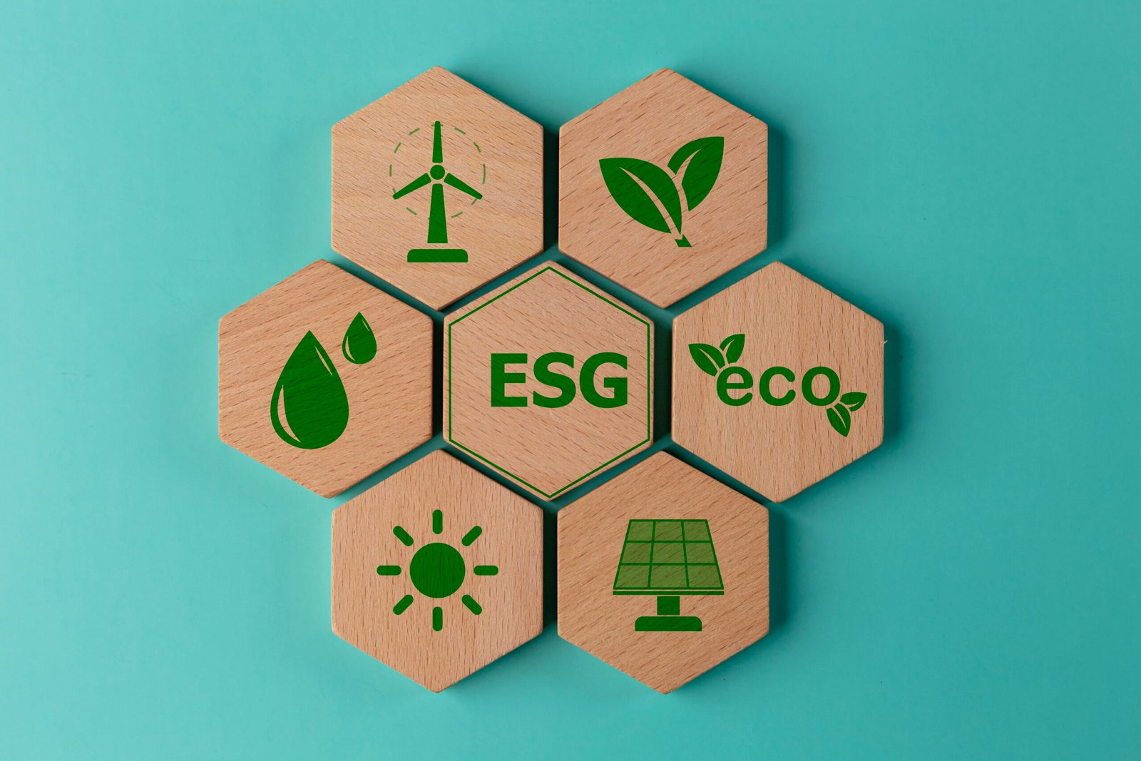 ESG concept of environmental. ESG or environmental social governance. The company developed a nature conservation strategy, green energy, clean energy